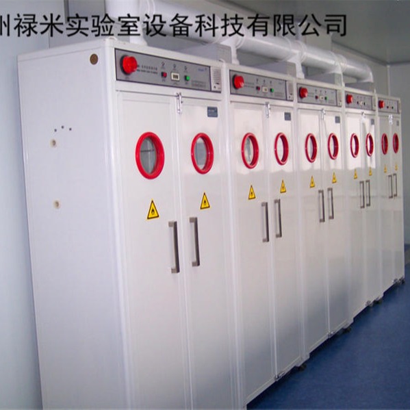 禄米实验室 全钢气瓶柜_厂家生产全钢气瓶柜带安全漏气报警系统LUMI-QPG4645