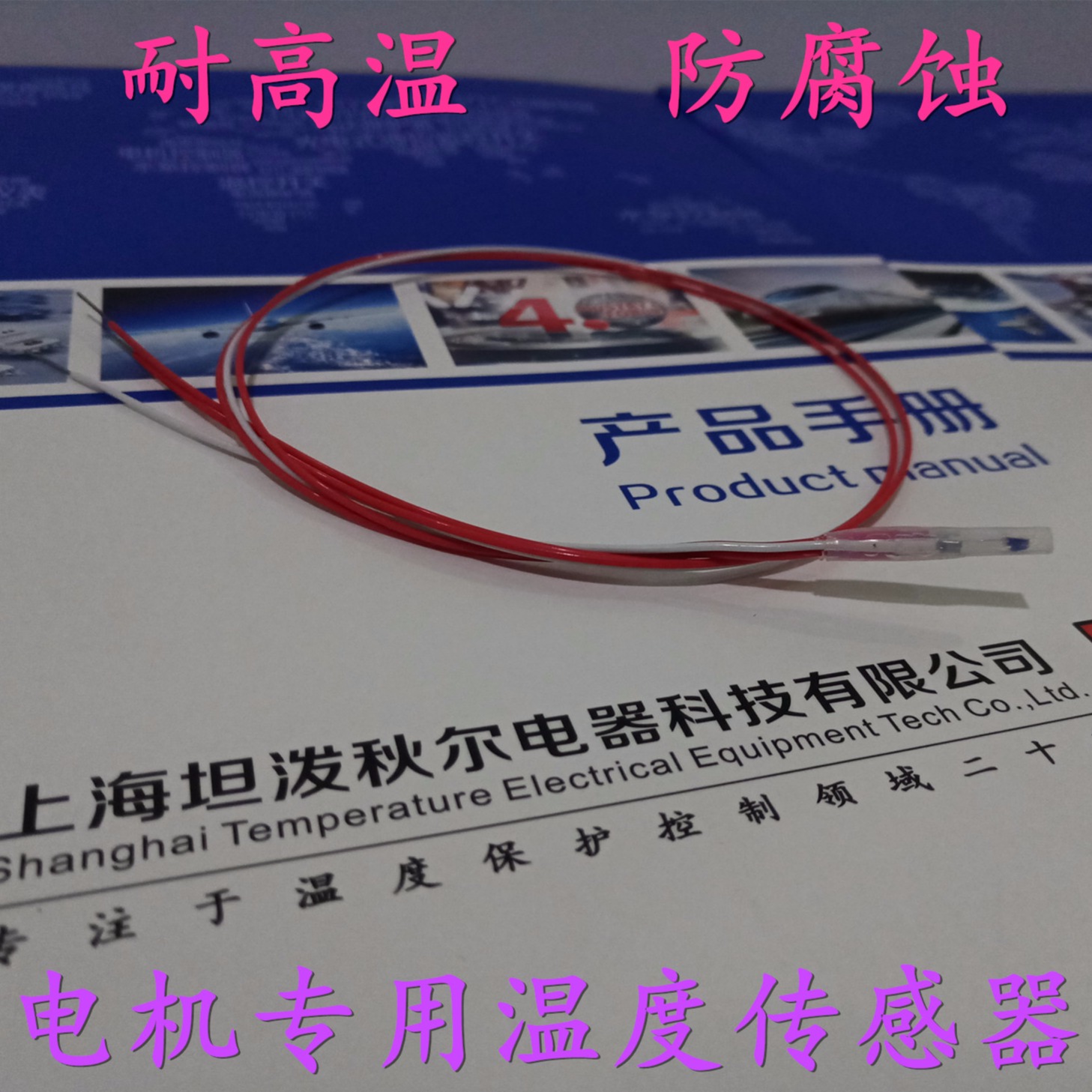 上海坦泼秋尔生产全氟型电机线圈绕组专用PT100温度传感器