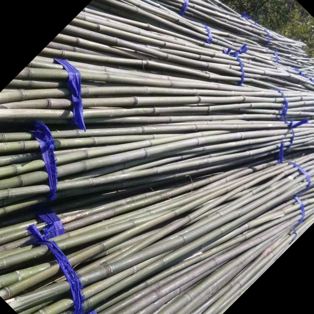菜架竹厂家 1.8米长竹竿 矮化苹果树苗绑枝引头用竹竿 支撑杆长短粗细可定制