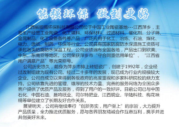 萍乡填料生产厂家低价直销陶瓷散堆填料传质设备塔用优质瓷环填料示例图6
