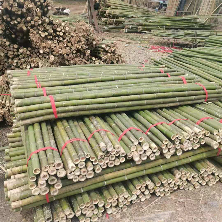 蔬菜大棚竹子 园林绿化支撑杆 苗木用竹子支撑杆