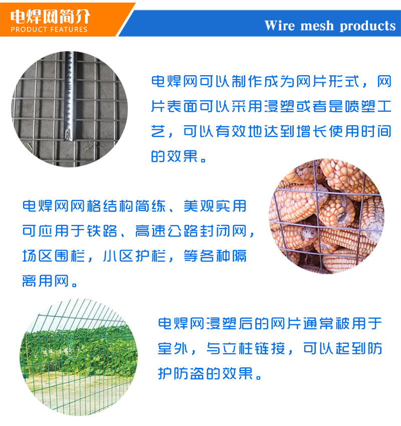 厂家直销电焊网铁丝网 镀锌不锈钢网 浸塑电焊网 圈玉米用电焊网示例图11