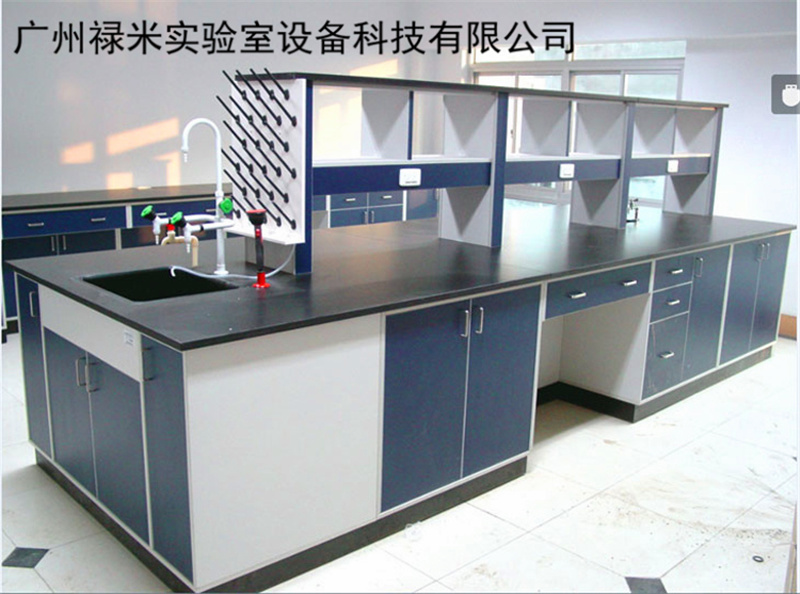 禄米 广州实验台厂家直销 全木实验台 钢木实验台 全钢实验台 边台 禄米实验室LUMI-QM003图片