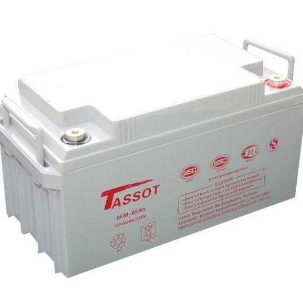 TASSOT泰斯特蓄电池12V65AH 泰斯特6GFM12-65AH铅酸免维护蓄电池 UPS电源 EPS电源