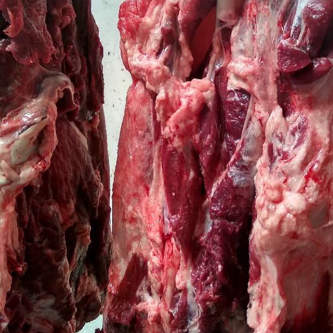 批发零售新鲜驴肉 带皮驴肉 抽空包装分割肉 现杀去皮鲜驴肉