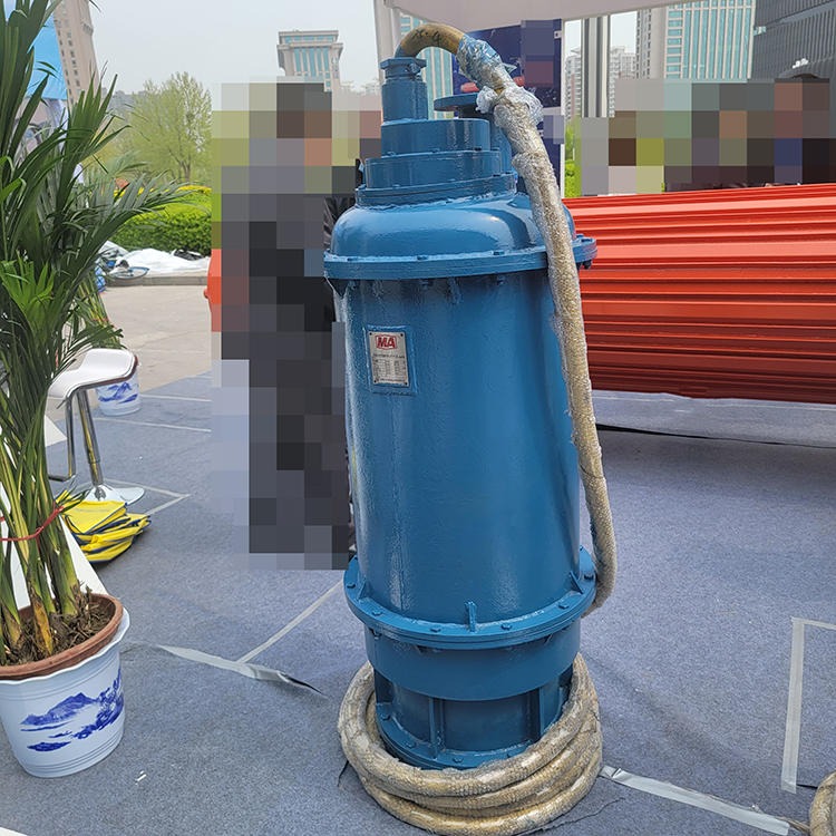 智创 zc-1 矿用新型隔爆潜水排沙电泵 防爆排水排沙泵 立式斜式排水排沙泵图片