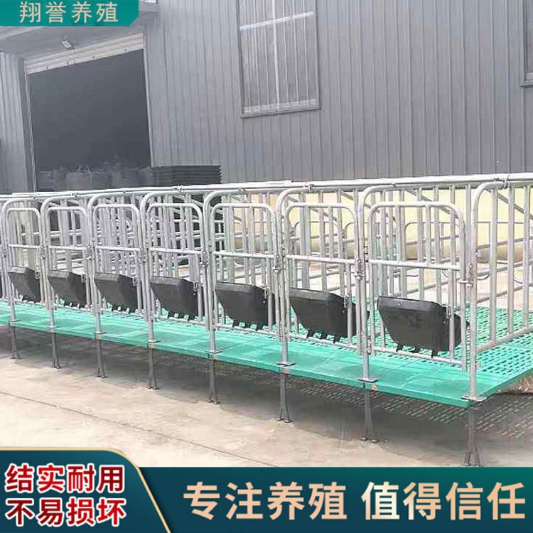 生产母猪限位栏 各种猪栏围栏 养殖设备出口品质翔誉