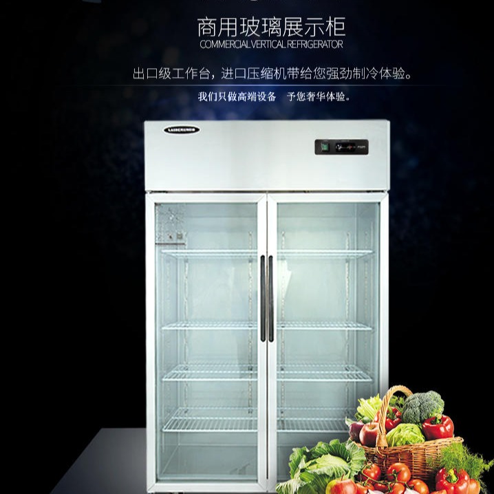 拉斯贝姆冰箱商用双门保鲜冷柜三六门陈列柜冷藏柜饮料卡姆尼立式冰柜  厂家直销