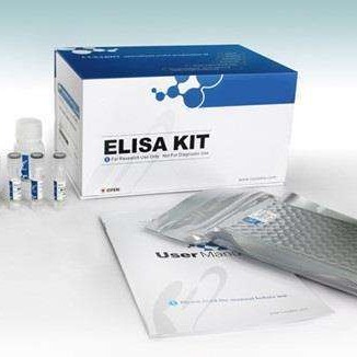 人抗乙型肝炎病毒表面抗体试剂盒 HBsAb试剂盒 抗乙型肝炎病毒表面抗体ELISA试剂盒 厂家直销