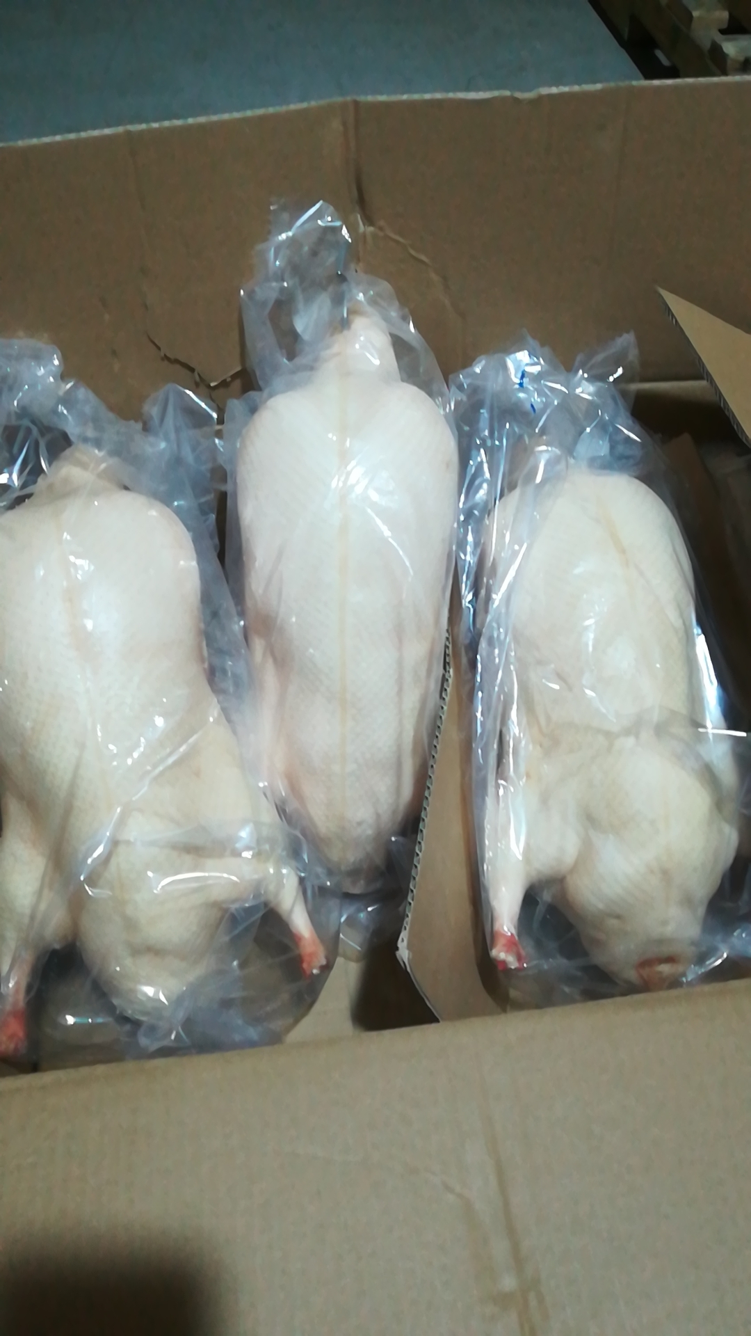 厂家直销四系冷冻鸭酥不腻鸭坯净膛鸭胚价格冷冻净膛鸭