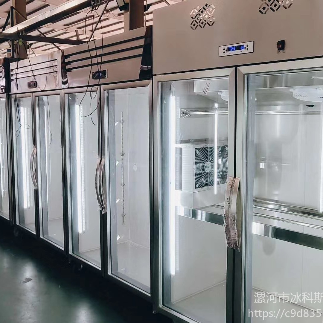 未来雪WLX-LYG-10晾鸭风干箱生产厂家-晾鸭风干箱 风冷晾鸭柜价格-冰科斯制冷设备-香港风冷晾鸭柜图片