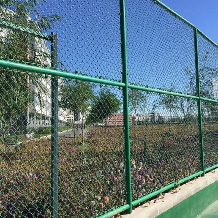 运动场围栏 排球场围栏 勾花防护网 德兰品质供应