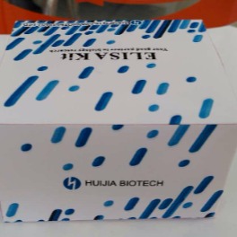 ELISA试剂盒 大鼠S100蛋白(S-100)ELISA试剂盒 慧嘉生物图片