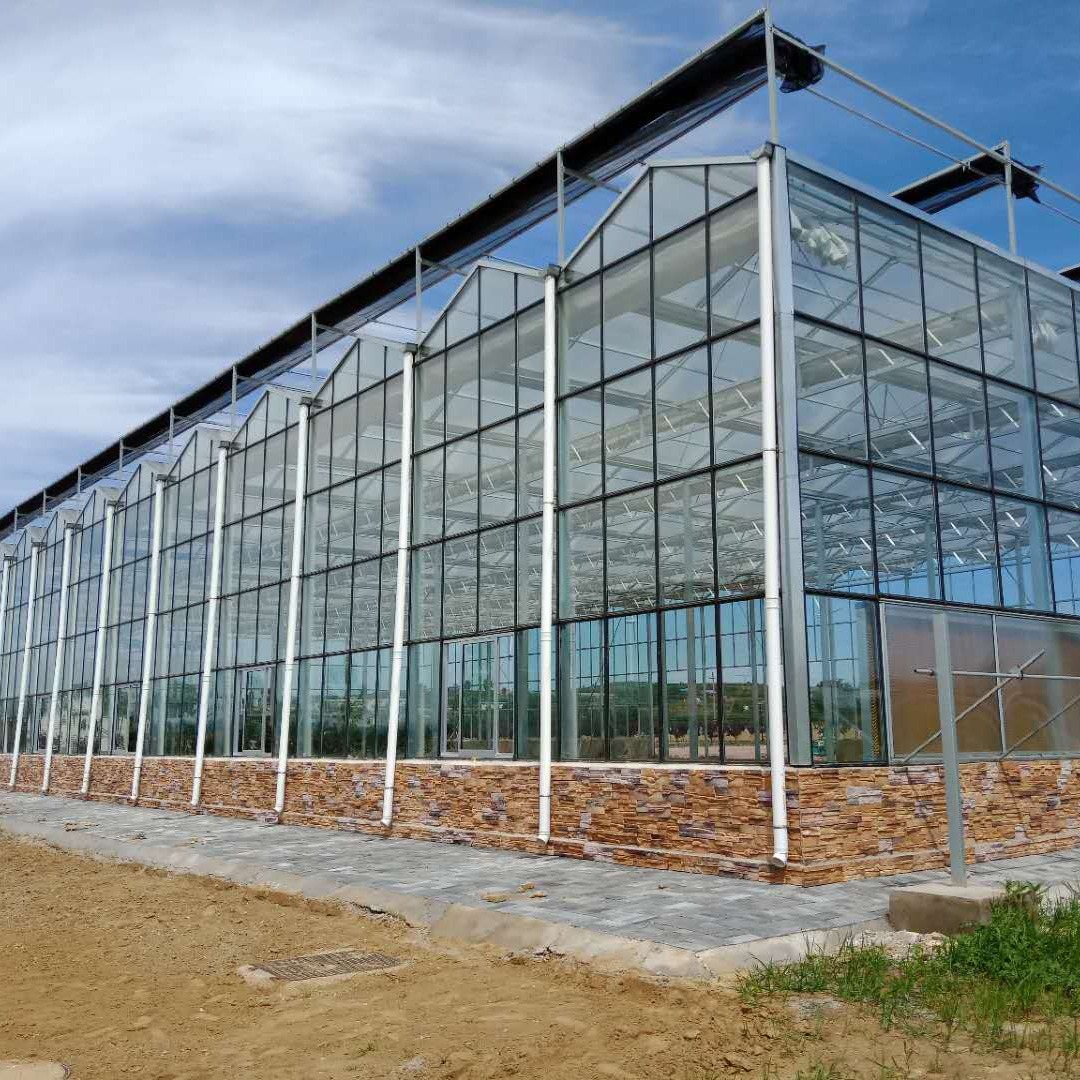 智能玻璃温室大棚厂家 玻璃智能温室大棚造价 温室大棚 博伟