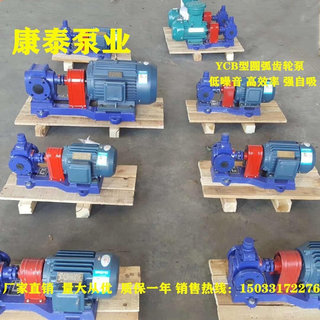 康泰泵业圆弧齿轮油泵 YCB8/0.6圆弧齿轮泵 润滑油输送泵 输油泵
