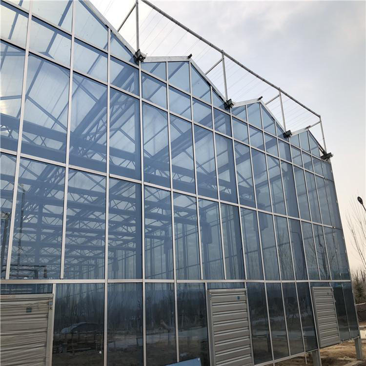 连栋玻璃温室 玻璃连栋大棚 现代化玻璃温室大棚 欢迎选购 博伟