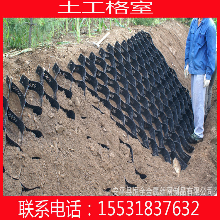 德江县蜂巢固坡土工格室 格构绿化种草蜂巢土工格室 强度高示例图3