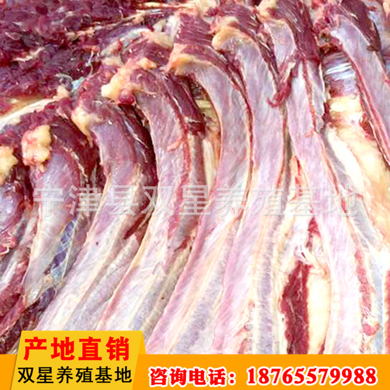 批发供应蒙古马鲜马肉 活马屠宰新鲜营养肋条肉 肉质鲜美进口马肉示例图2