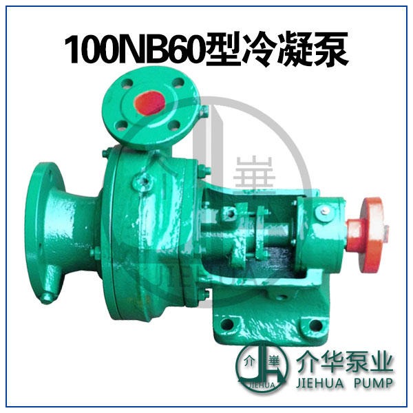 100NB60冷凝泵 100NB60凝结水泵