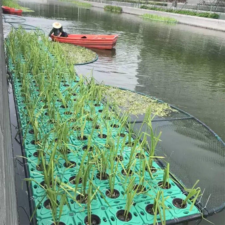 水上景观绿化浮床 造景人工浮床板 环保水上浮岛 一匡 品质保证