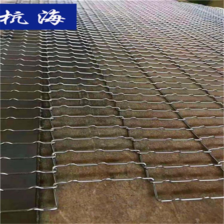 杭海机械 不锈钢网带 耐高温网带生产厂家 可定制