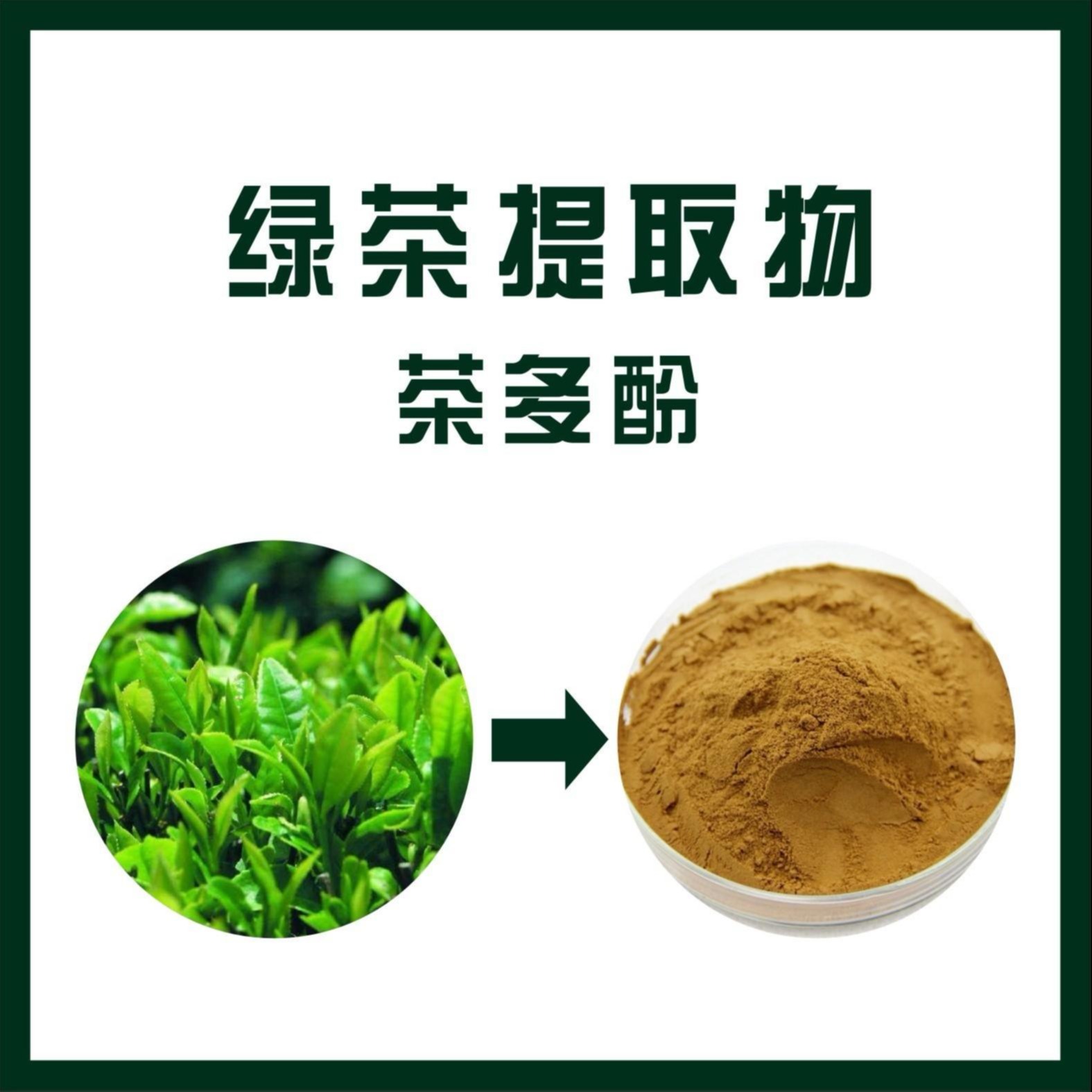 茶多酚 绿茶提取物 食品保健品原料 厂家供应