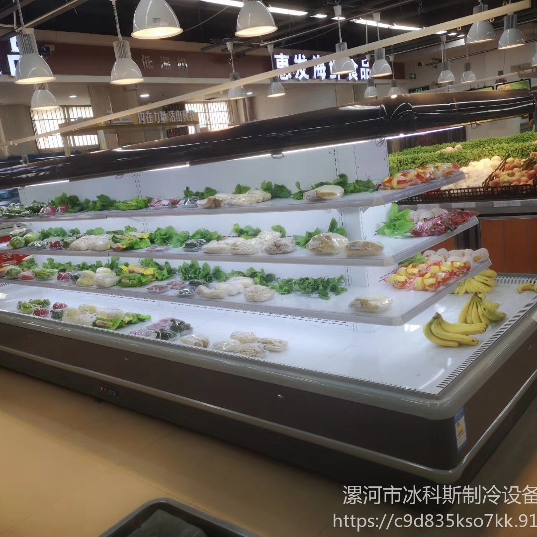 聊城超市生鲜火腿肠冷藏柜 蔬菜保鲜柜  风冷环形岛柜工厂直销 支持定制 未来雪-WLX-HD-245