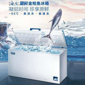Haier/海尔-60度深海鱼 惠州超低温冰箱 138升-389升 海尔深圳销售