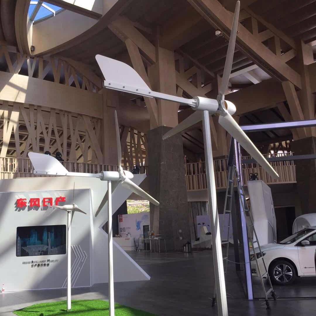 新疆晟成1000瓦家用风力发电机可带冰箱电视照明小型风力发电机图片