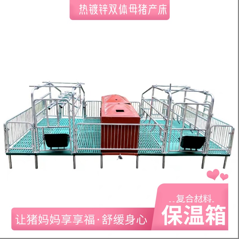 优质热镀锌双体母猪产床 限位栏 保育床厂家销售