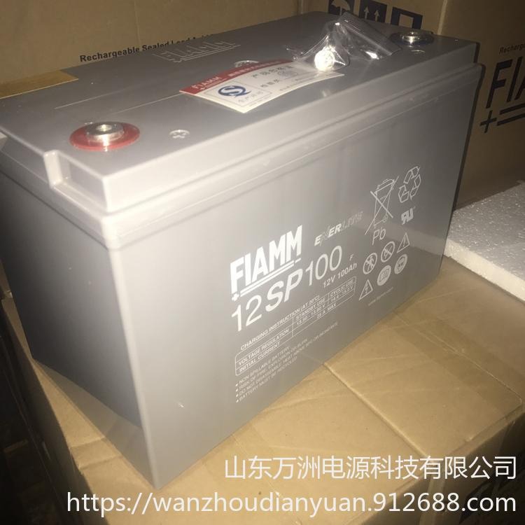 非凡蓄电池12SP100 铅酸性免维护电池 非凡12V100AH EPS/UPS/不间断电源电池