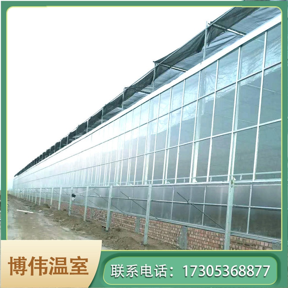 博伟 玻璃温室大棚厂家 蔬菜育苗温室 玻璃大棚价格