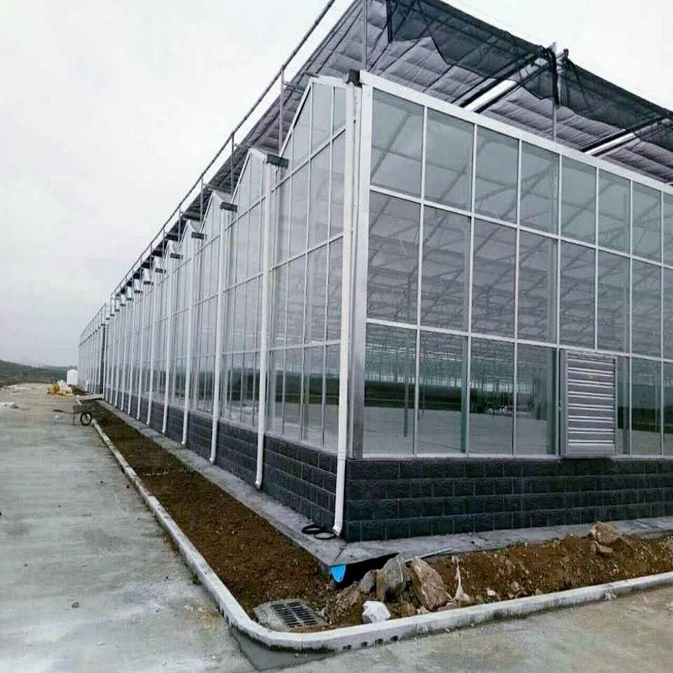 博伟 种植玻璃温室 农业玻璃温室 生态玻璃大棚
