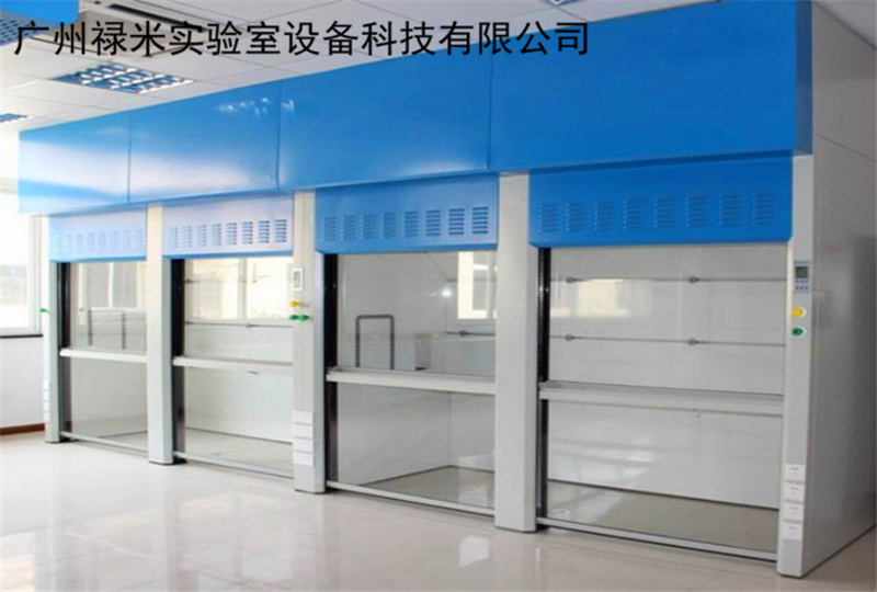 广东通风柜生产厂家 步入式排毒柜 新款实验室设备LUMI-TFG924R
