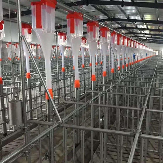 世昌2021新型喂料设备 LX-2猪场自动化喂料系统 自动料线生产厂家 猪场料线 育肥围栏