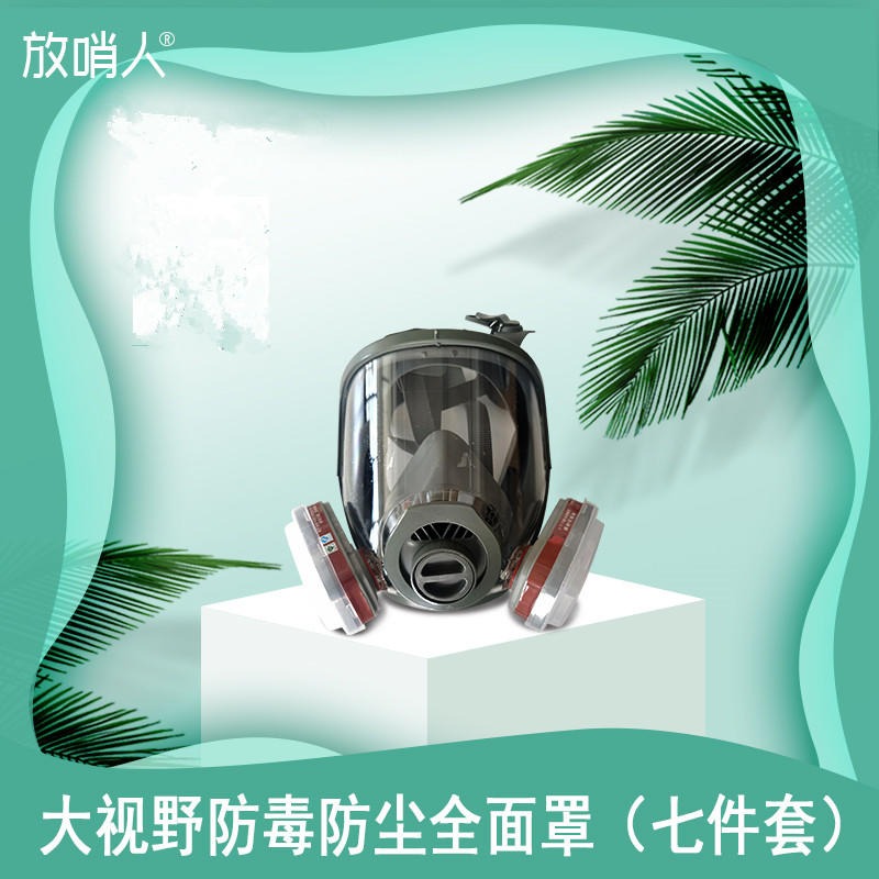 诺安防毒全面具 全面型呼吸防护器 NAMJ0 大视野防毒全面罩