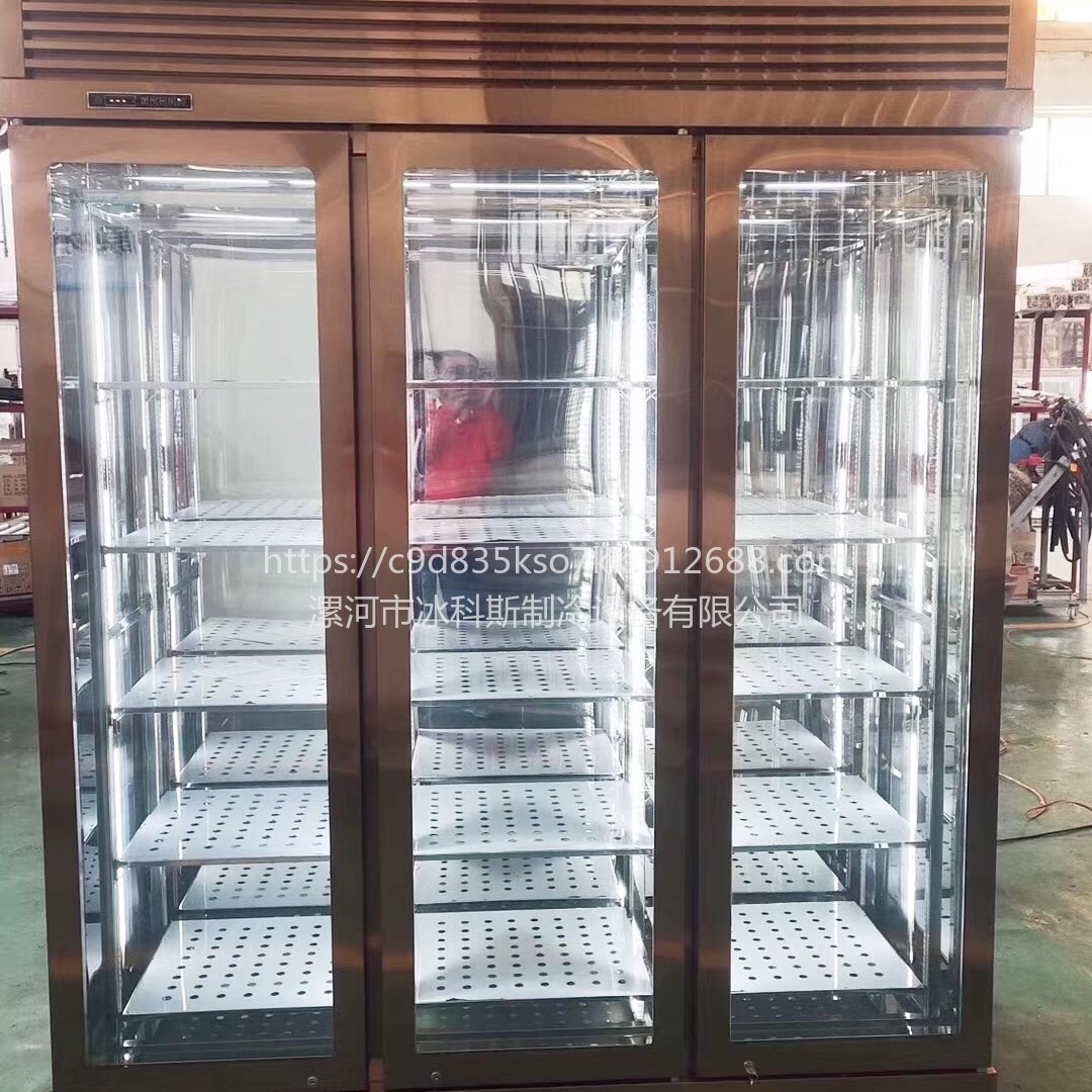 上海酒店熟成柜  牛排风干柜 定制款前后玻璃排酸柜 未来雪定制 WLX-NR-57