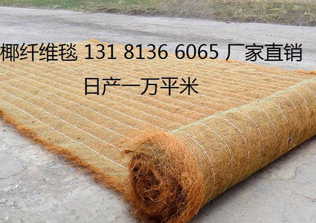 椰丝毯 绿维毯 绿化草毯 植物纤维毯 椰丝毯植物纤维毯
