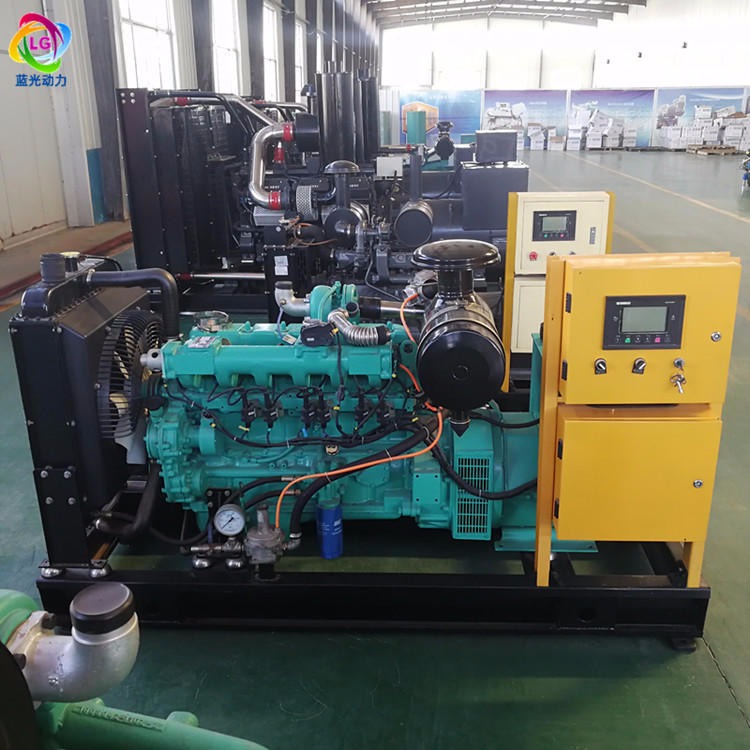 蓝光动力供应 沼气发电机组 潍坊发电机组 养殖场备用30千瓦发电机参数