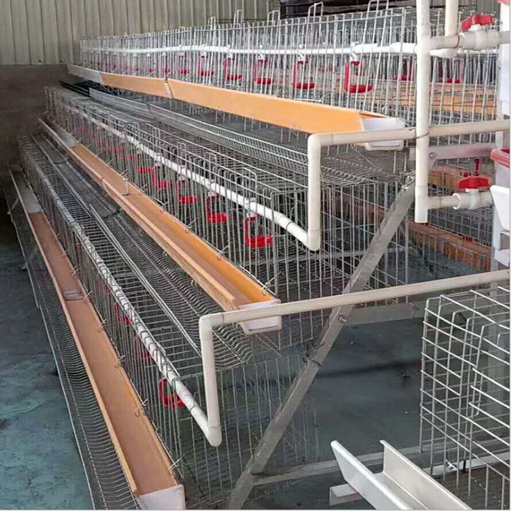 养鸡笼子厂家 直销阶梯式鸡笼 亿泽 层叠式肉鸡笼鸡笼养殖笼