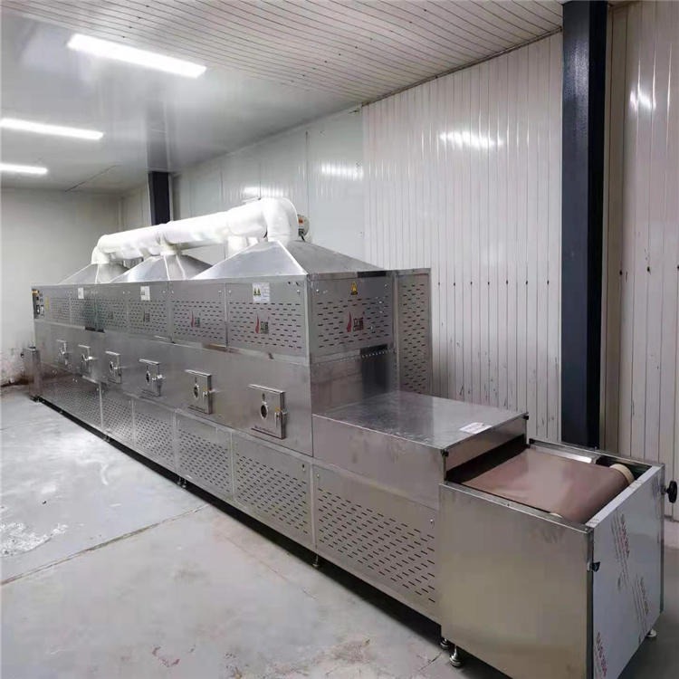 立威-20HMV-4X中央厨房微波设备 连续式中央厨房微波加热隧道炉