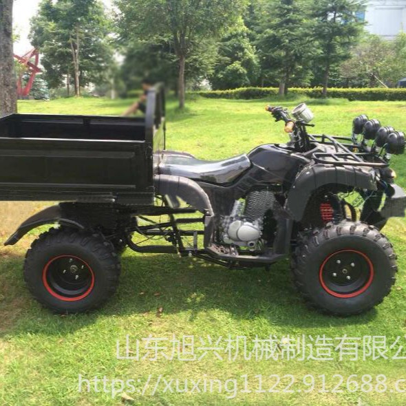 旭兴2WD-4WD 农用带箱沙滩车 农用四轮沙滩车   农夫车
