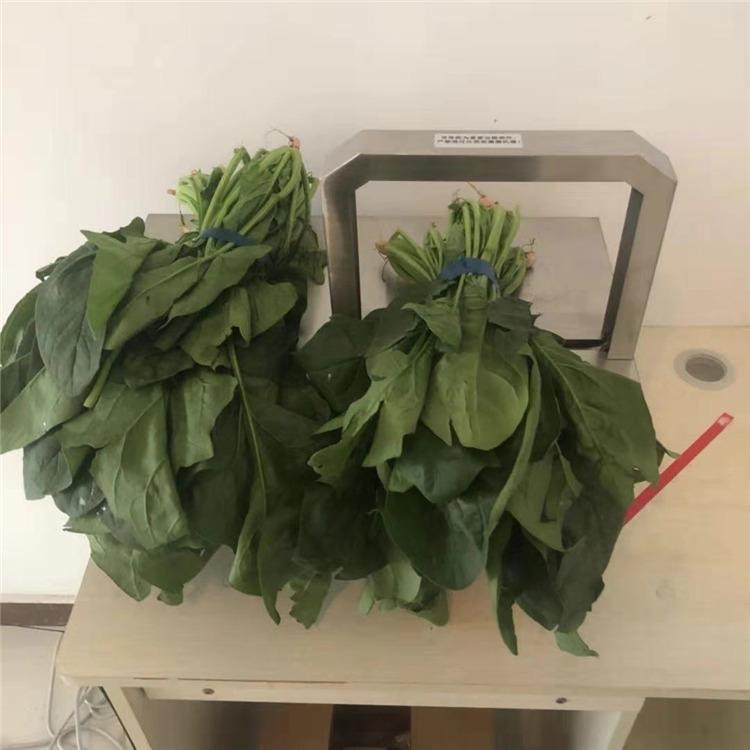 上海全自动蔬菜捆扎机 青菜长豆角扎捆机 多功能opp无胶束带机 舜工机械图片