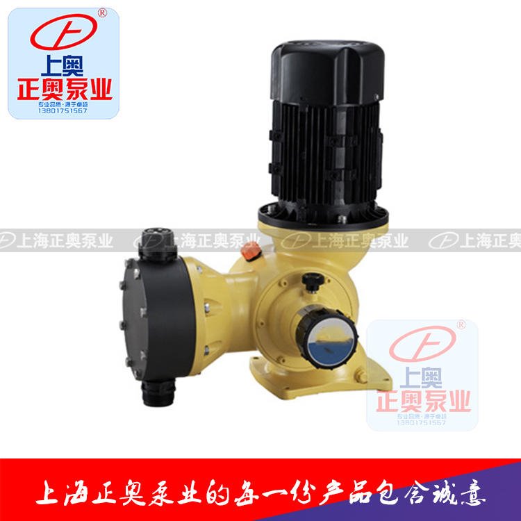 上海正奥GB型隔膜式计量泵 不锈钢计量泵