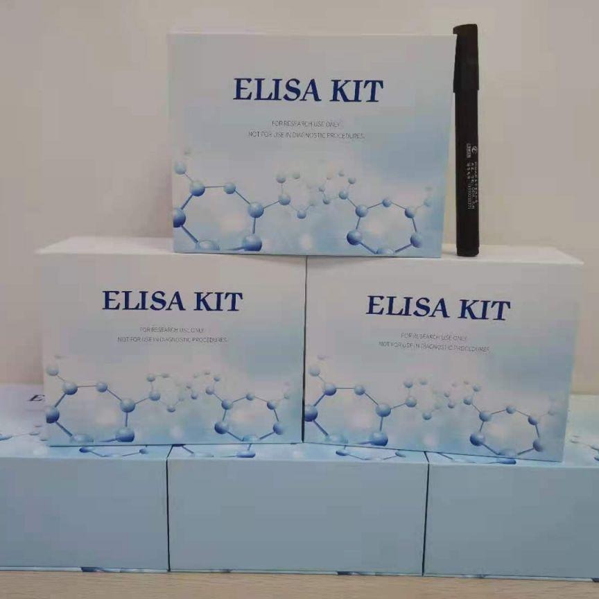 大鼠重组结核杆菌热休克蛋白60试剂盒 HSP60 elisa试剂盒 仑昌硕生物