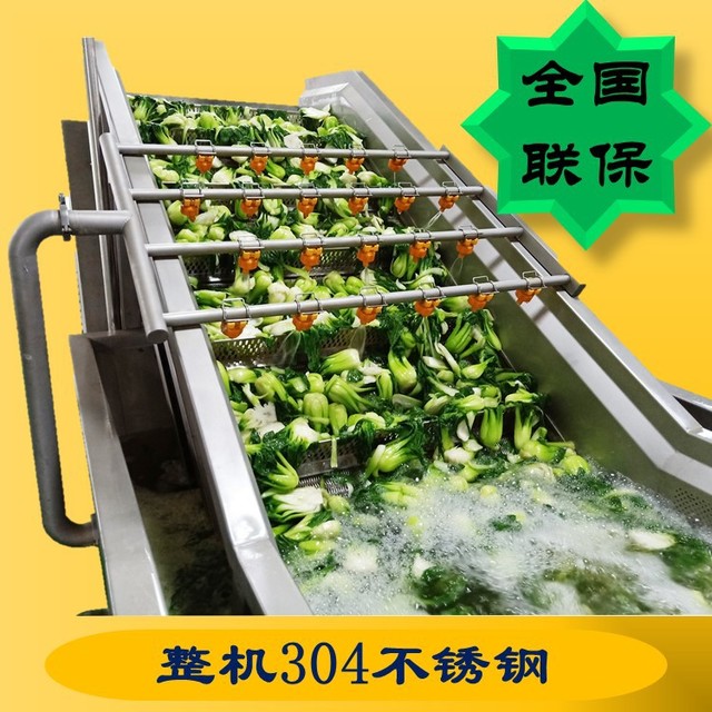多功能气泡蔬菜清洗机 叶类蔬菜气泡清洗机 全自动