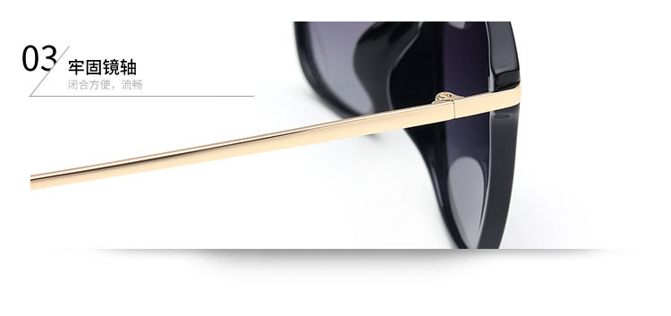 批发2017偏光太阳镜女士时尚潮流超轻TR90防紫外线墨镜网红款眼镜示例图14