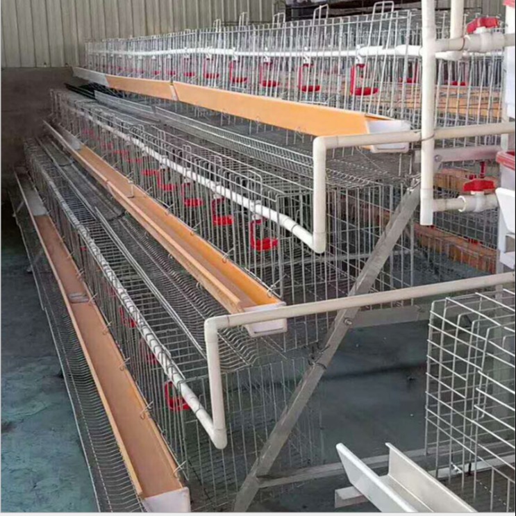 亿泽 现货供应 养鸡笼厂家 热镀锌层叠式鸡笼鸡笼鸡舍定做