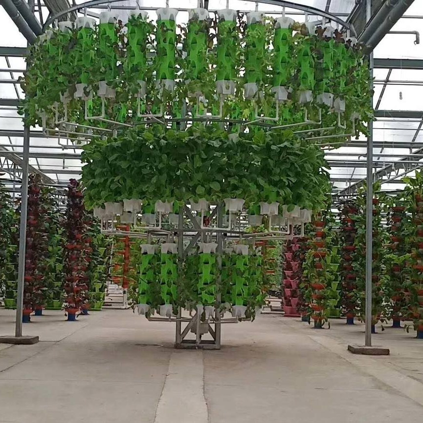 无土栽培技术 建达温室公司 玻璃无土栽培温室 水培蔬菜种植 水培蔬菜种植架子