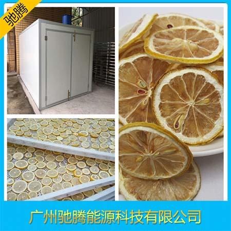 柠檬片烘干机 广州柠檬片烘干机厂 CT-6RB-1柠檬片烘干机 柠檬烘干 驰腾热泵